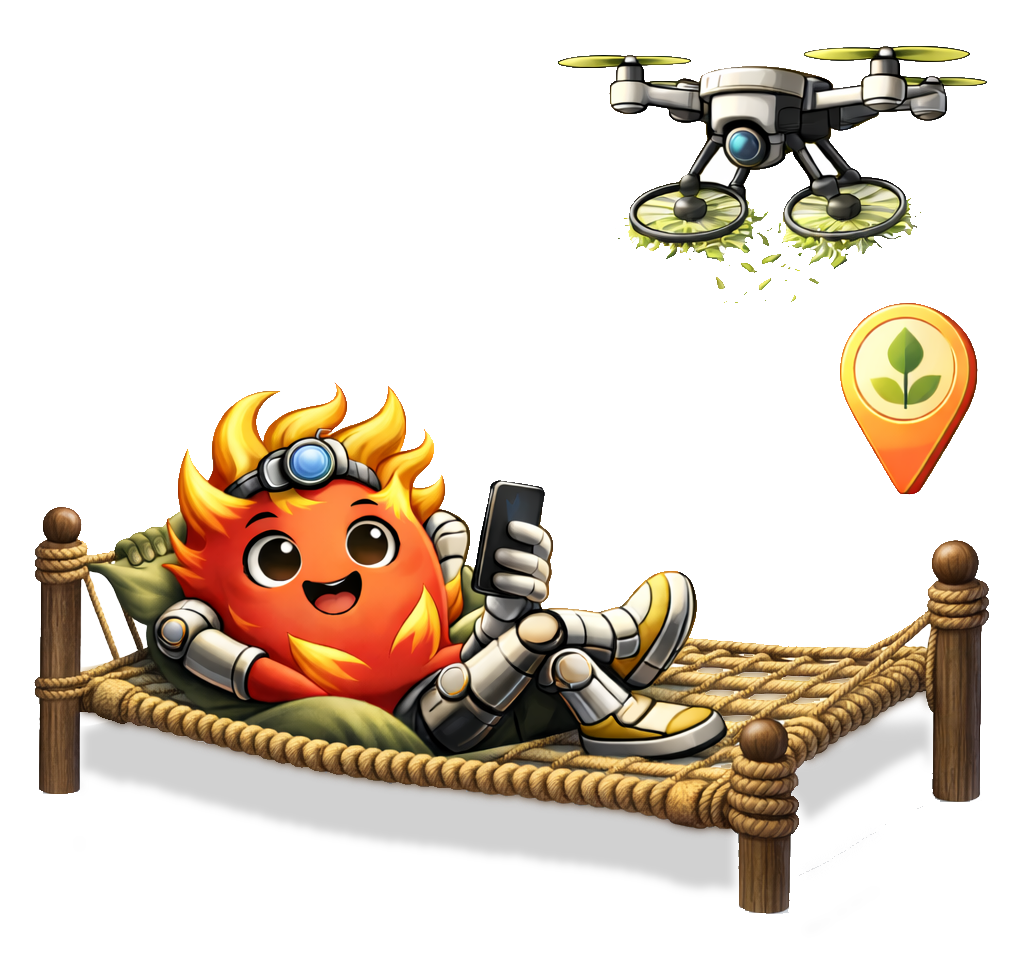 services image